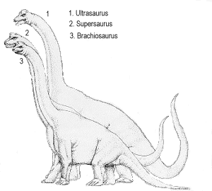 Ultrasaurus